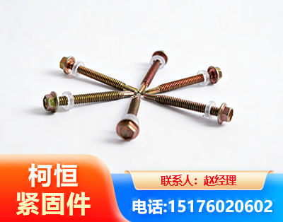 梧州六角钻尾丝
